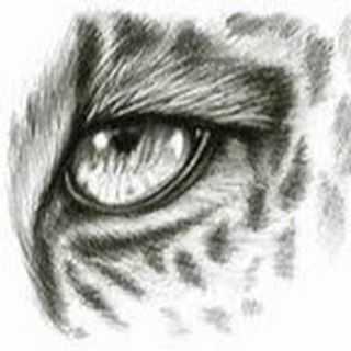 Foto do autor Danilo Avelameda